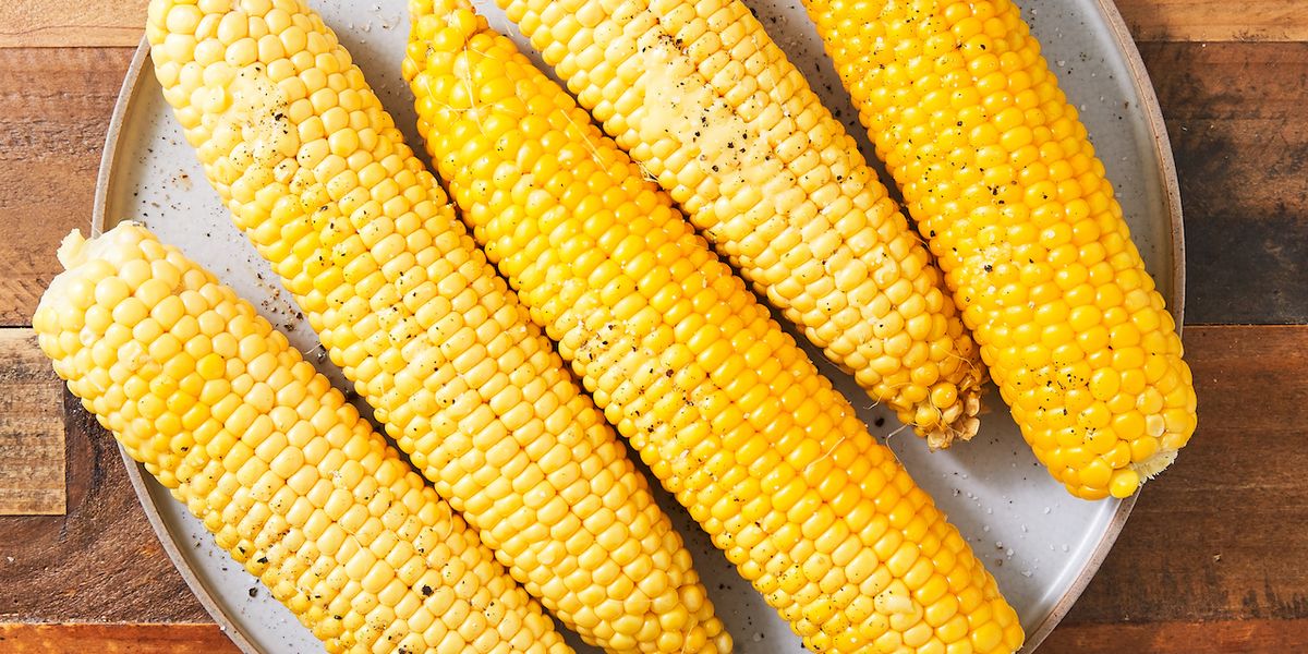 Commercialization of biotech corn to spur growth of maize production