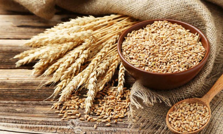 Wheat support price increased to Rs1,350